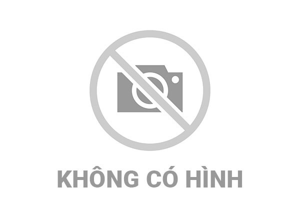 <a href="/tin-tuc/hoat-dong-chuyen-mon" title="Hoạt động chuyên môn" rel="dofollow">Hoạt động chuyên môn</a>